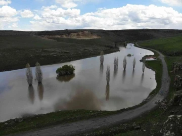 Kars’ta sular altında kalan ağaçlar havadan görüntülendi
