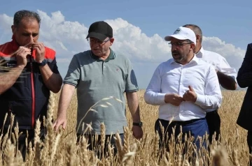 Kars’ta yüzde 50 hibeyle dağıtılan tohumlar tarlalara ekildi
