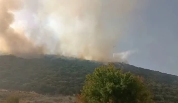 Kaş’ta orman yangınına havadan ve karadan müdahale sürüyor
