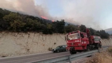 Kaş'ta makilik alanda çıkan yangın kontrol altına alındı