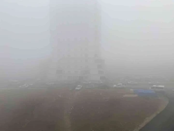 Kastamonu’da yoğun sis etkili oluyor
