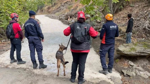 Kayıp Alzheimer hastası 90 yaşındaki kayıp kadını arama çalışmaları sürüyor
