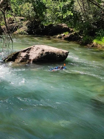 Kayıp hemşireyi arama çalışmaları 53’üncü gününde
