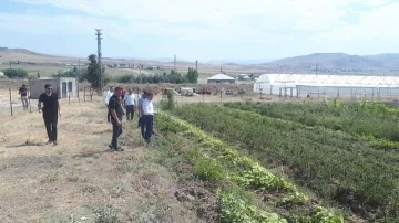 Kaymakam Nasır, yetiştirilen ürünleri inceledi
