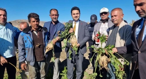 Kaymakam Seyhan, şeker pancarı hasadına katıldı
