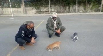 Kayseri polisi, depremin merkez üssündeki hayvanlara şefkat eli uzatıyor