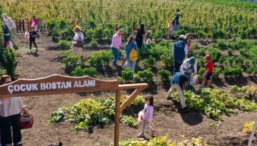 Keçiören’de kreş öğrencileri bostanda hasat yaptı
