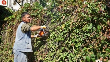 Keçiören’de mevsimlik budama çalışmaları gerçekleştiriliyor
