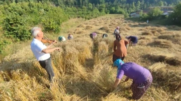 Keman resitali ile buğday hasadı yaptılar
