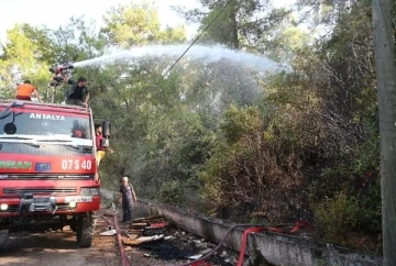 Kemer'de orman yangını büyümeden söndürüldü