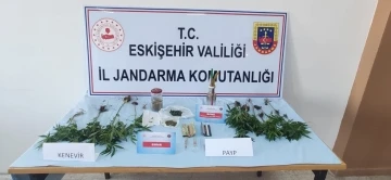 Kenevir bitkisi yetiştirilen eve jandarma operasyonu
