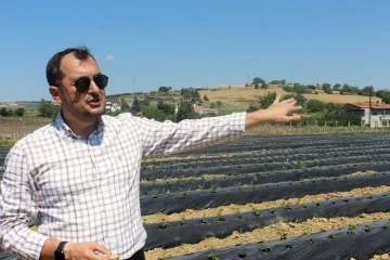 Kent ekonomisine büyük katkı: Tohumdan ağaca kadar her şeyi belediye üretiyor
