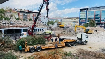 Kent Meydanının yapılacağı alandaki ağaçlar naklediliyor
