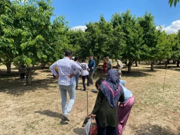 Kiraz bahçesini halka açtı
