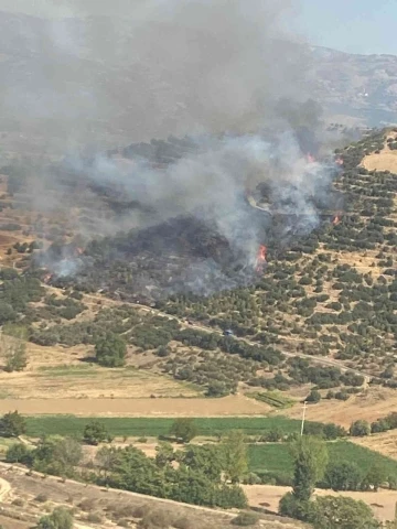 Kiraz ilçesindeki orman yangınına 10 dakikada ilk müdahale
