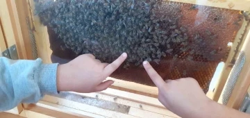 Kırkağaçlı öğrenciler arıların dünyasını keşfetti
