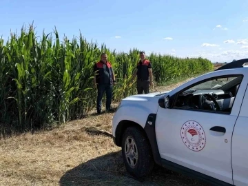 Kırklareli’nde ekili alanlar incelendi
