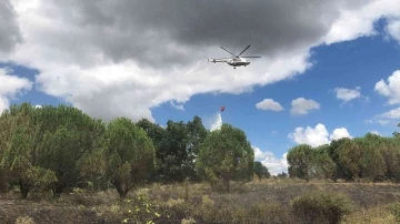 Kırklareli’nde ormanlık alanda çıkan yangında 5 dekar zarar gördü
