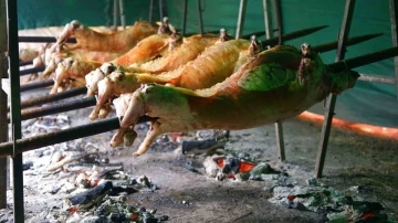 Kırkpınar’ın geleneksel lezzeti kuzu çevirme Sarayiçi’ndeki yerini aldı
