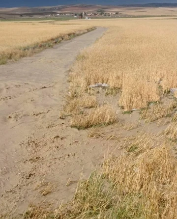 Kırşehir’de yağışların etkisiyle tarım arazileri zarar gördü
