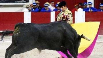 Kızgın boğa matadoru metrelerce havaya fırlattı