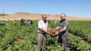 KİZO Başkanı Kara : "Çiftçilerimiz ile hemhal olmaya devam ediyoruz"