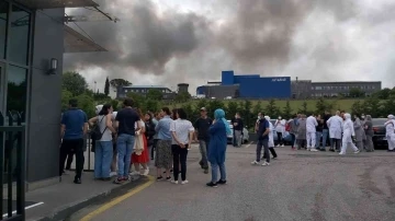 Kocaeli’de Kimya fabrikasında büyük yangın
