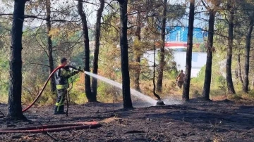 Kocaeli’de orman yangını
