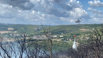 Kocaeli’de ormanlık alanda çıkan yangın söndürüldü
