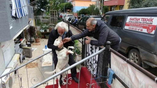 Komşuların rahatsız olduğu labrador cinsi köpek için sahibinden pankartlı tepki
