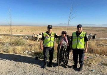 Konya’da kayıp küçükbaş hayvanları jandarma buldu
