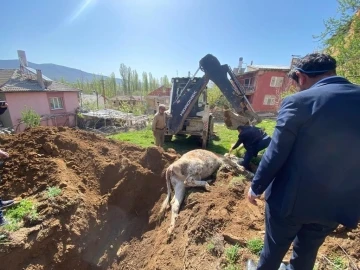 Konya’da kuyuya düşen inek açılan tünel sayesinde kurtarıldı
