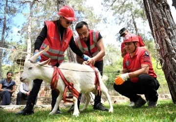 Konyaaltı personeli, hayvan kurtarma eğitimini tamamladı