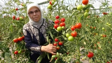 Koparmaya dahi kıyamıyorlardı, hobileri tutkuya dönüştü
