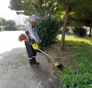 Körfez yabani otlardan temizleniyor
