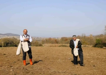 Körfezli çiftçilere sertifikalı buğday tohumu dağıtılacak
