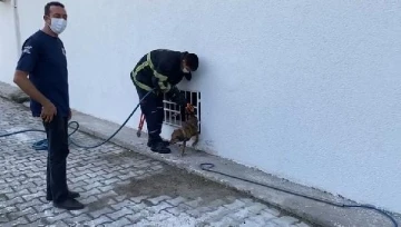 Korkuluklara sıkışan köpeği itfaiye kurtardı