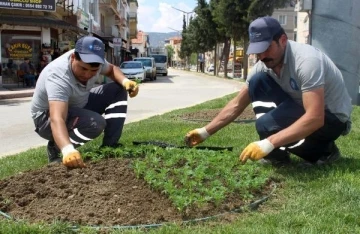 Korkuteli çiçeklerle renklendi