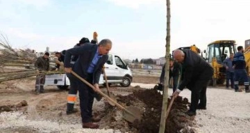 Koru Parkta ağaç dikimine başlandı