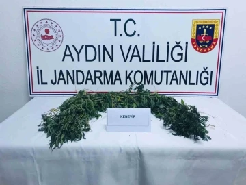 Köşk’te uyuşturucu operasyonu: 2 gözaltı
