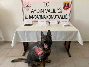 Köşk’te uyuşturucu tacirleri yakalandı: 2 gözaltı
