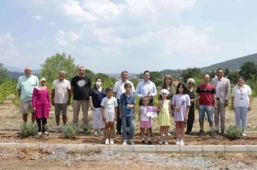 Köy yaşam merkezinde lavanta hasadı yapıldı
