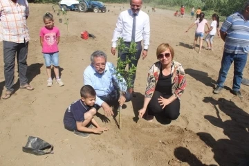 Köyceğiz’de öğrenciler okul bahçesine narenciye fidanı dikti
