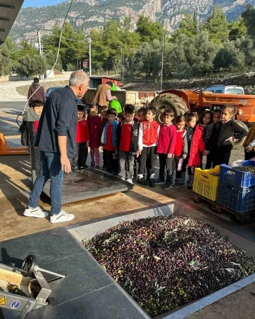 Köyceğiz’de öğrenciler zeytinden yağ çıkarılmasını gördü
