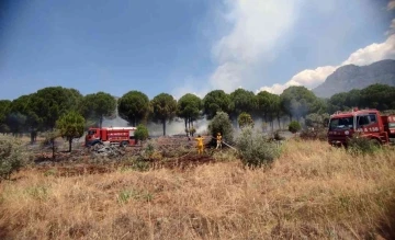 Köyceğiz’de orman yangını kısa sürede söndürüldü
