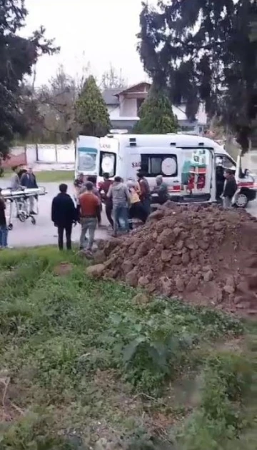 Kozalak toplamak için çıktığı ağaçta akıma kapılan genç hayatını kaybetti
