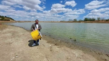 Kurumaya yüz tutan göletin başında davul çalıp mani söyledi
