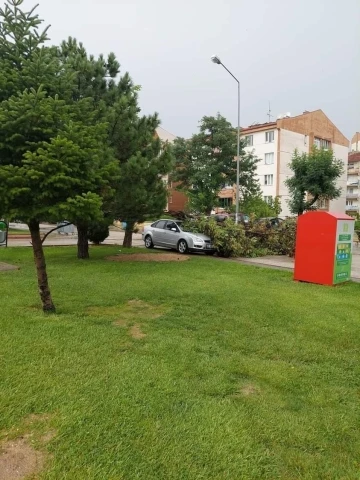 Kuvvetli rüzgar nedeniyle park halindeki otomobilin üzerine ağaç devrildi
