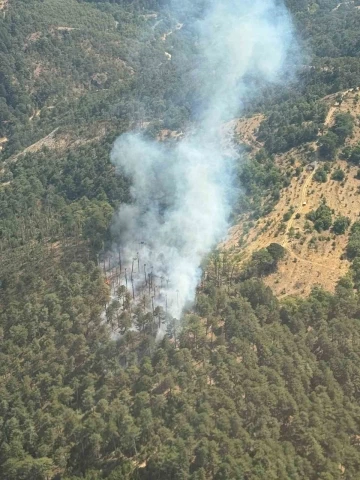 Kuyucak’ta orman yangını
