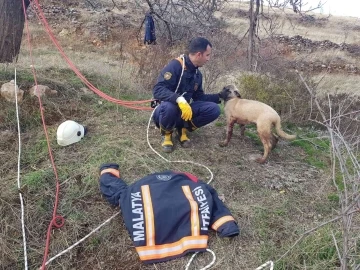 Kuyuya düşen köpek için zamanla yarıştılar
